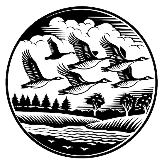 GooseTeam 1